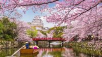 Sensasi Traveling ke Jepang Negeri Sakura