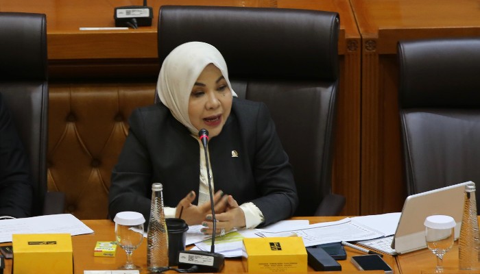 Anggota DPR RI, Rahmawati Zainal